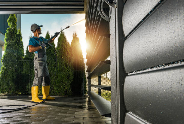 Best Driveway Pressure Washing  in Raytown, MO